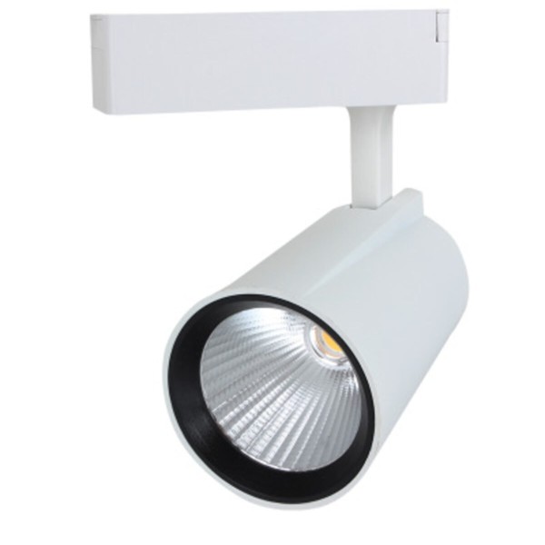 10EN 30W-33W Beyaz Kasa Boru Tipi Led Ray Spot